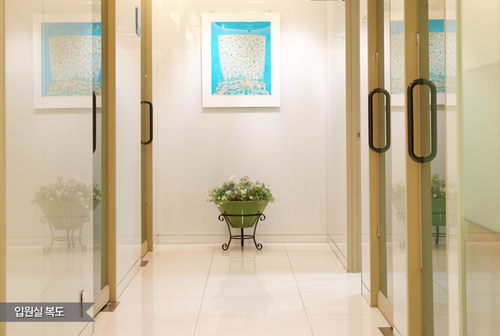 일산이비인후과의원 대표 이미지