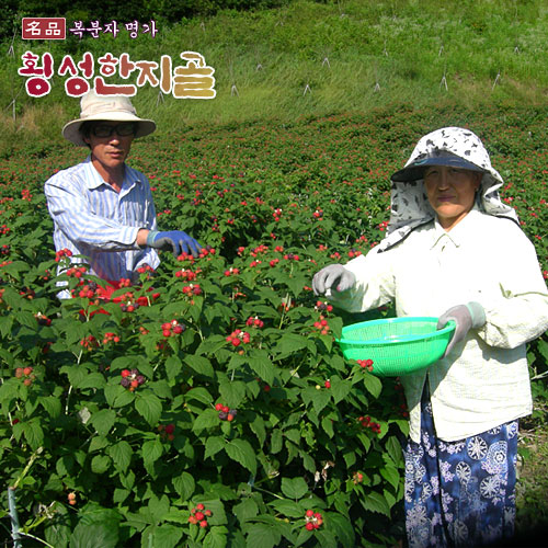 횡성한지골
