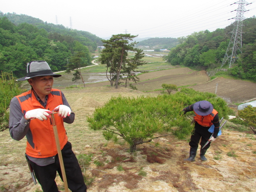 상장풍의례원