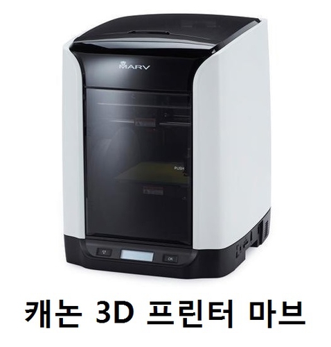 비엠정보기술