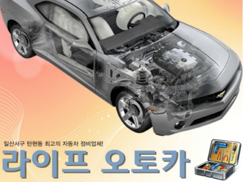 라이프오토카