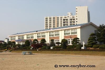 신흥초등학교