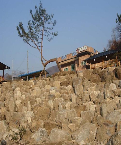 태영조경건설