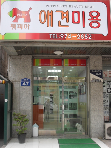 펫피아애견미용실 대표 이미지