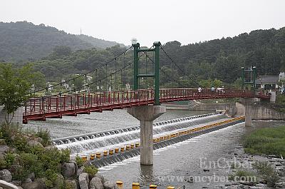 뿌리공원