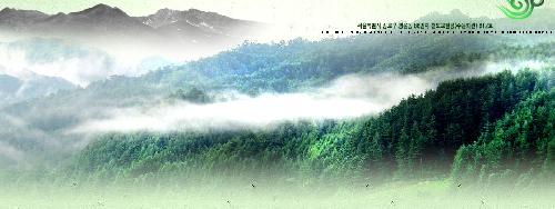 한국도선풍수명리학회