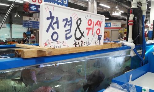 완도횟집
