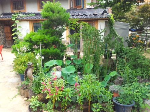 두레박