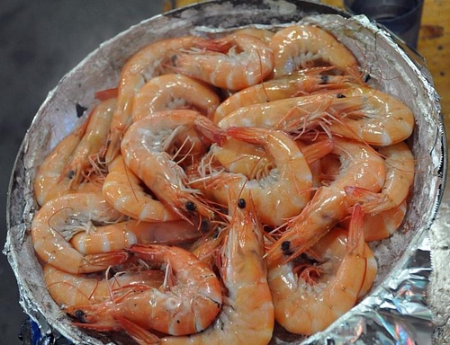 바다회