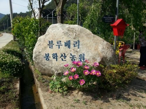 블루베리 봉학산농원