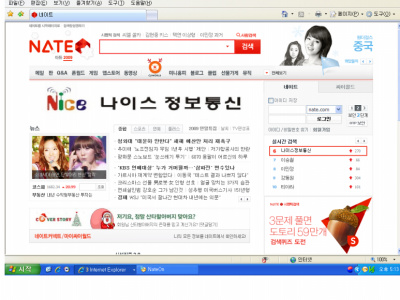 나이스정보통신