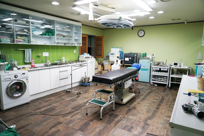 메디아트의원 대표 이미지