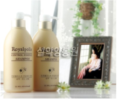 설악양봉원