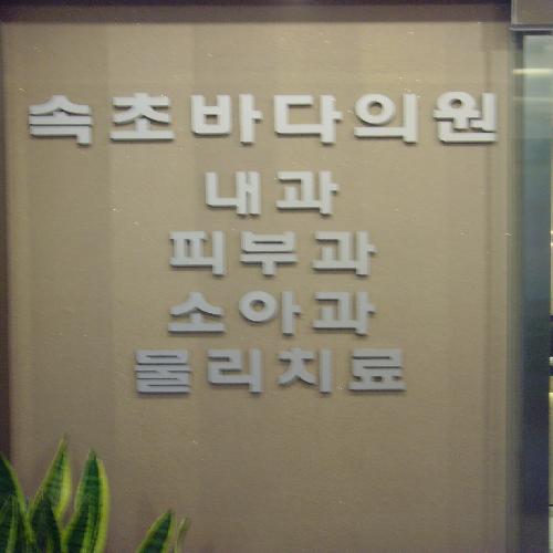 속초바다 의원