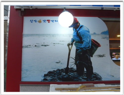 신안갯뻘낙지
