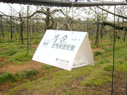 황토농원