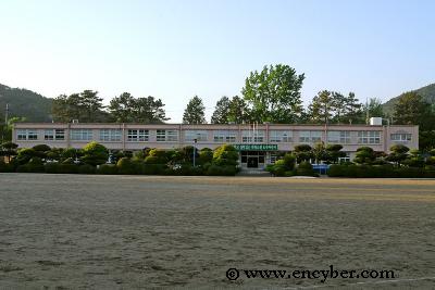 도곡초등학교