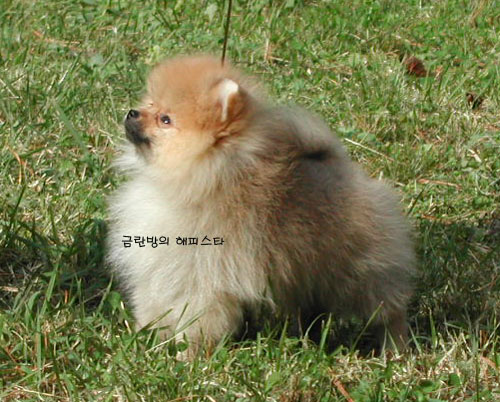 금란방 대표 이미지