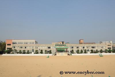 광덕초등학교