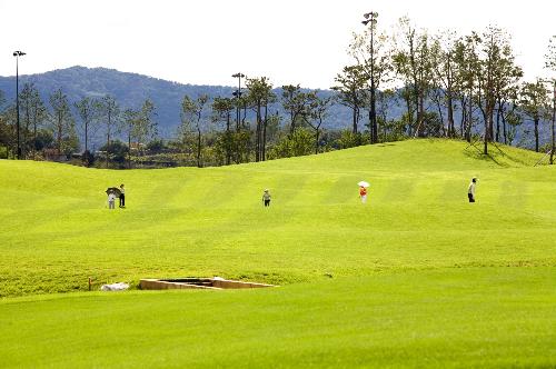 더반GC 대표 이미지