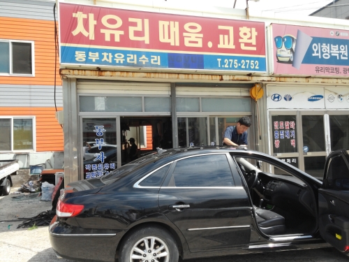 동부차유리수리
