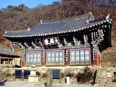 청룡사