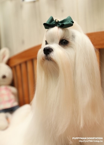 플라이플라잉 대표 이미지