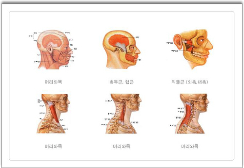 함수영건강지킴이