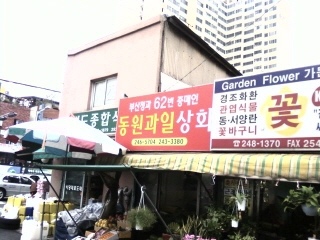동원과일상회