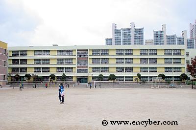 성일초등학교