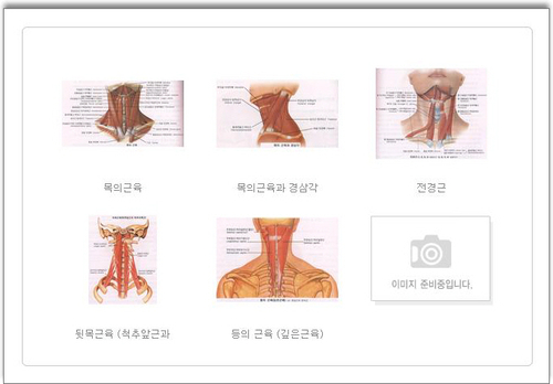 함수영건강지킴이