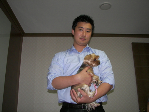 한국애견출장훈련소 이미지