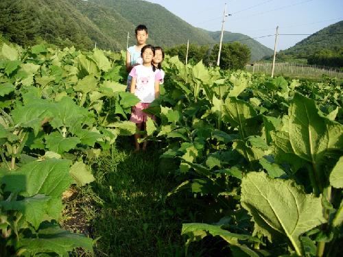 참살이푸른농원