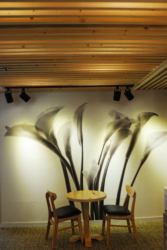 가이치과의원 대표 이미지