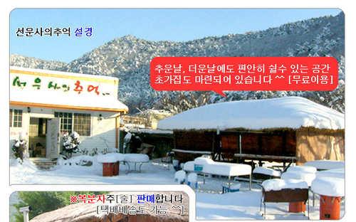 선운사의추억