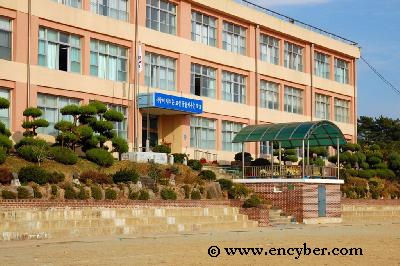 안면중학교