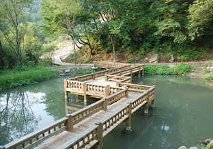 사진 2
