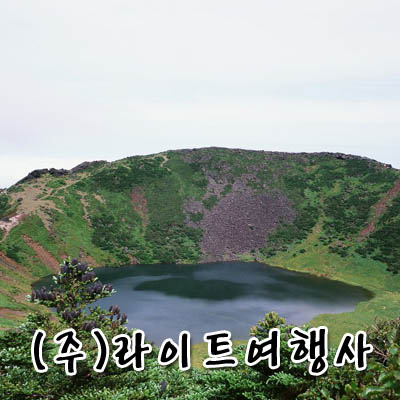 라이트여행사