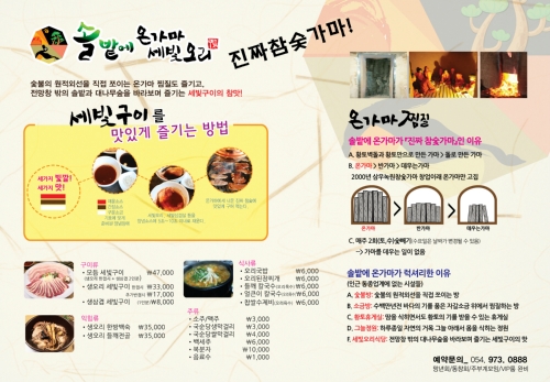 솔밭에세빛오리