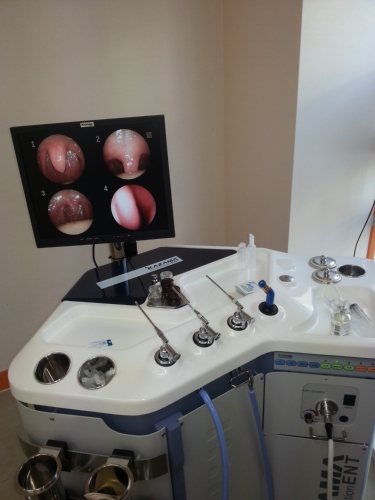 성수성모내과의원 대표 이미지