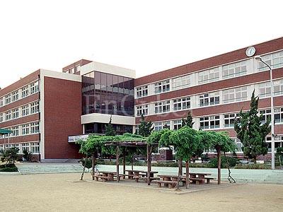 형일초등학교