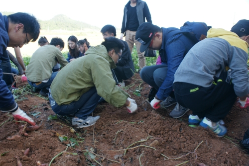 내양녹색농촌체험마을