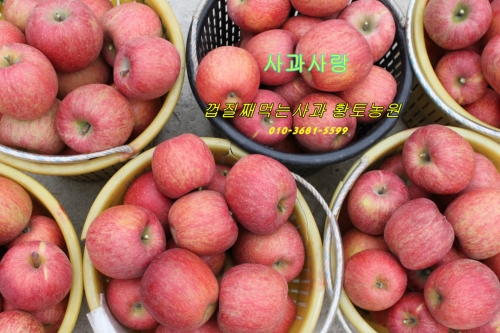 황토농원