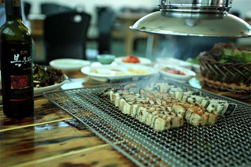 장어학교