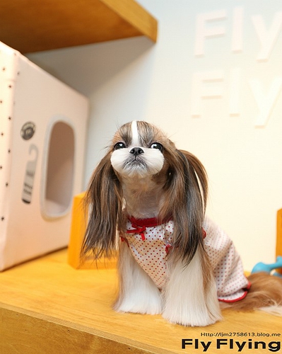 플라이플라잉 대표 이미지