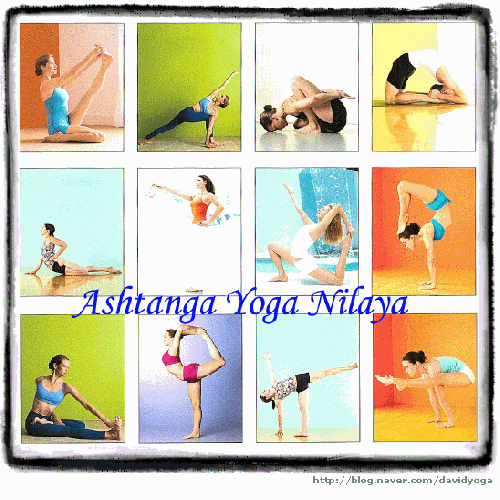 아쉬탕가요가스튜디오 대표 이미지