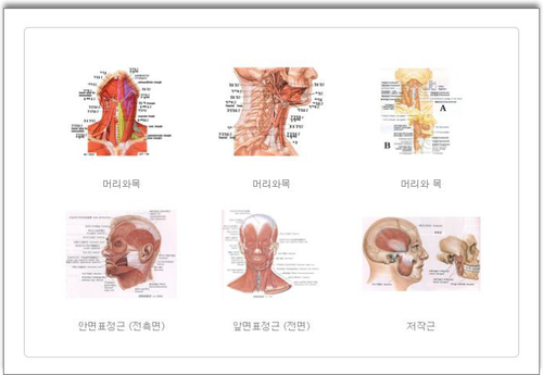 함수영건강지킴이