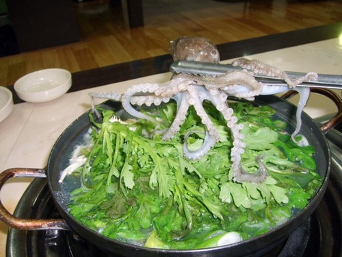 회조비 의정부 본점