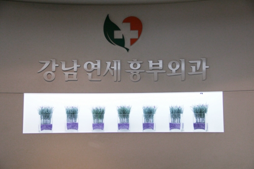 강남연세흉부외과의원