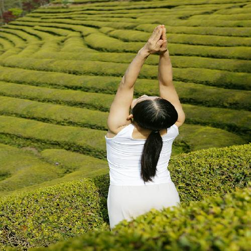 전혜빈요가아쉬람 대표 이미지